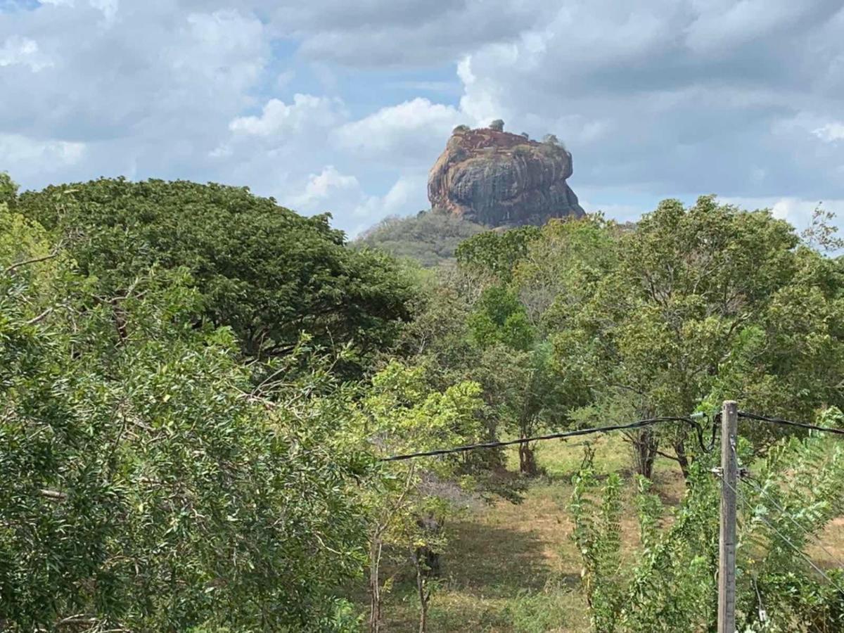 Sigiriya Rock Hide Hotel Екстериор снимка