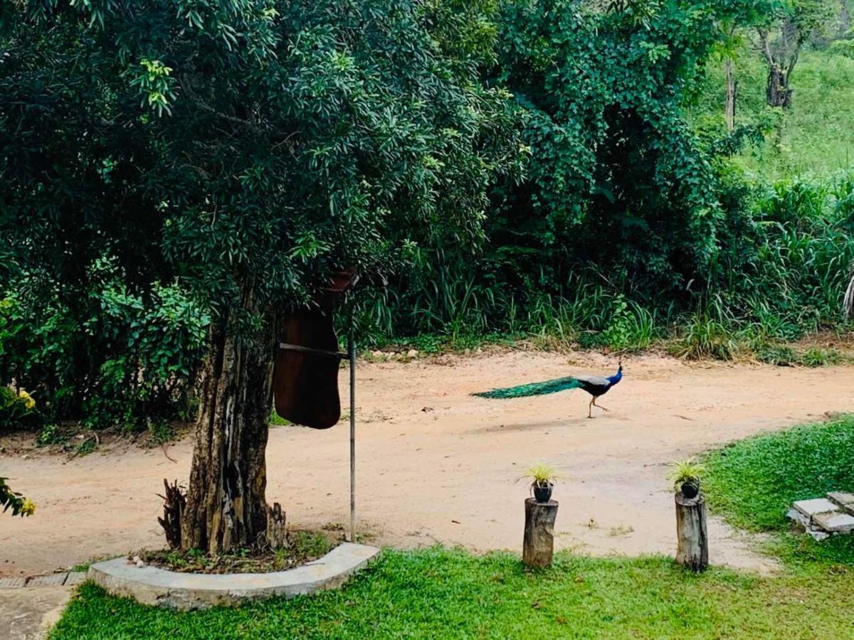 Sigiriya Rock Hide Hotel Екстериор снимка