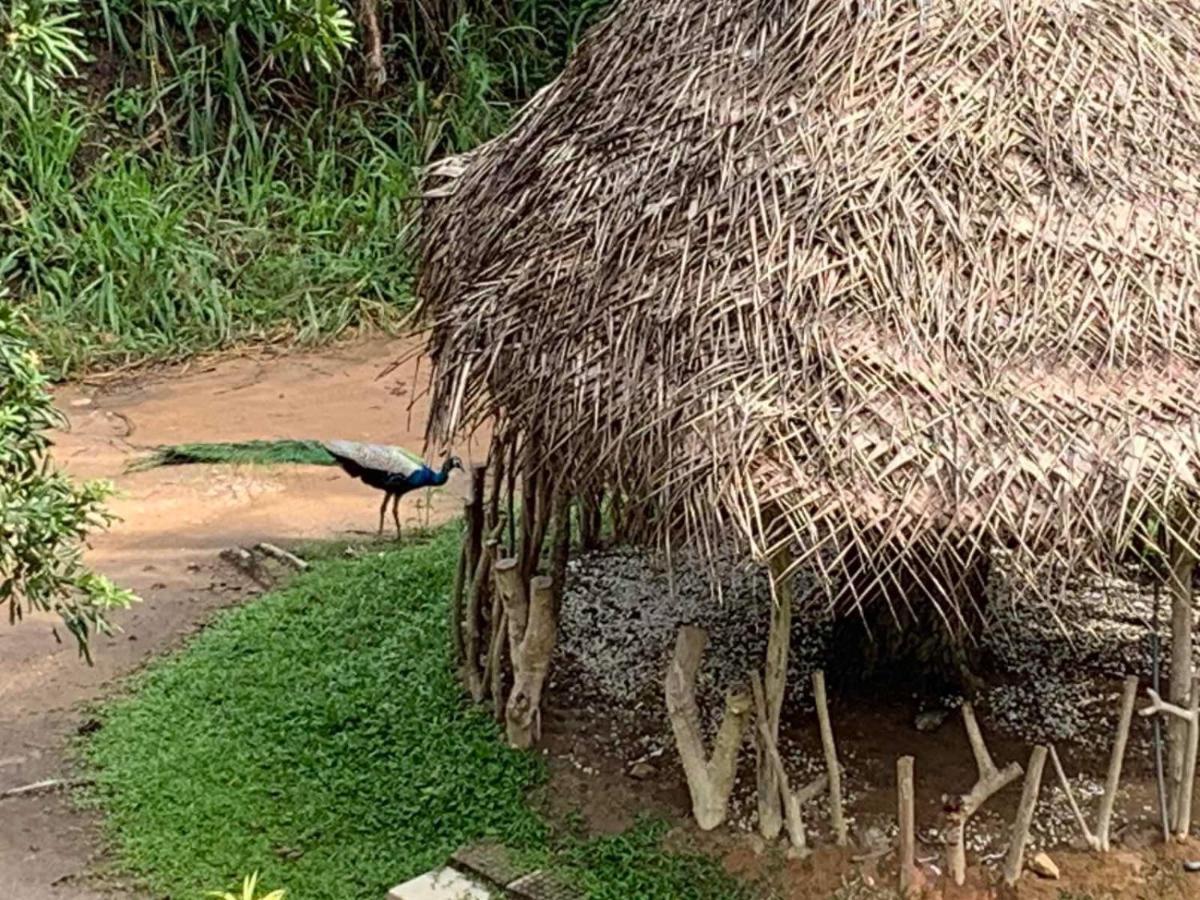 Sigiriya Rock Hide Hotel Екстериор снимка