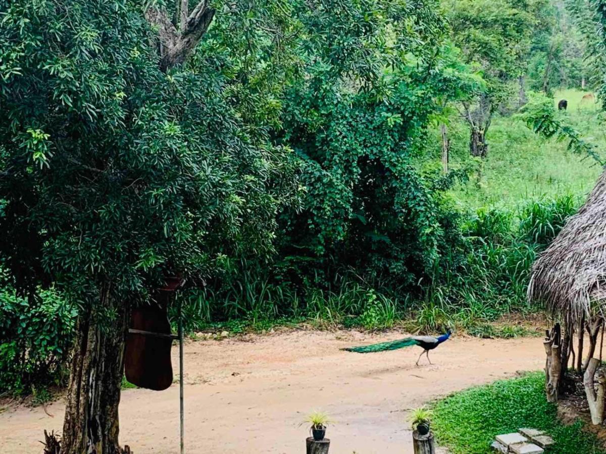 Sigiriya Rock Hide Hotel Екстериор снимка